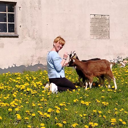 Hof Ruemland Ferienwohnungen Hollingstedt Exteriér fotografie